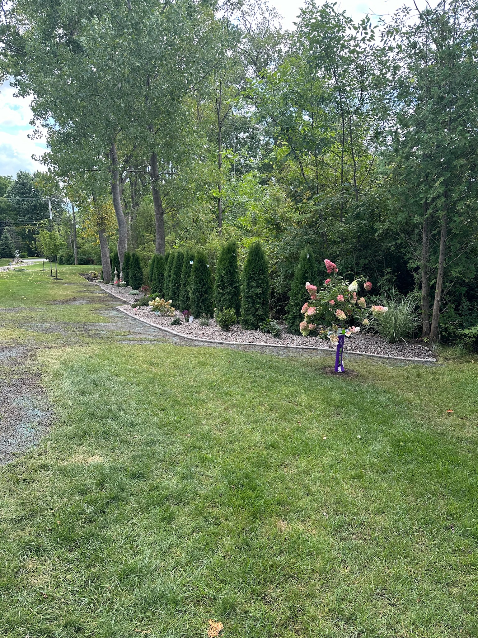 2024 garden and stone after photo 2